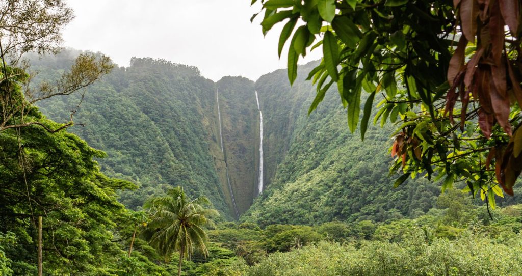 a beautiful view of lush rainforests and waterfalls in Waipio Valley on the Big Island, Hawaii