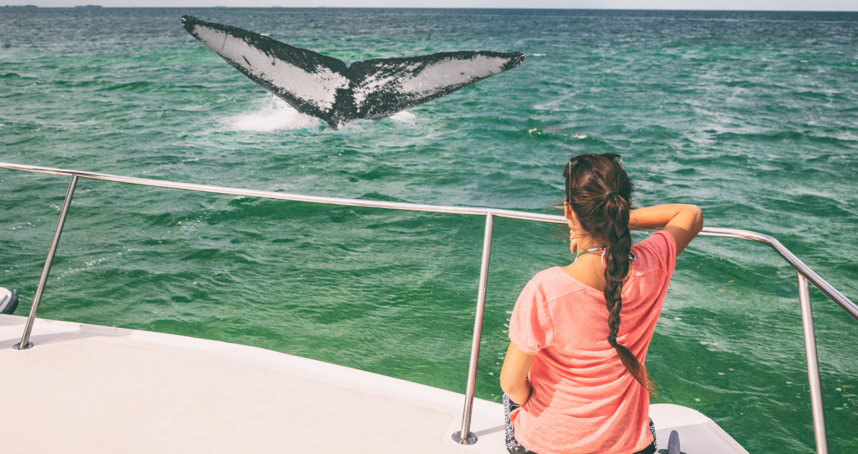 a female tourist sitting on a boat watching a humpback whale swimming in the ocean