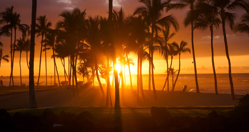 sunset view in Kohala Coast with trees
