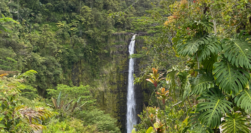 a beautiful view of a 442-foot waterfall and lush rain forest during the Akaka Falls State Park Tour on the Big Island, Hawaii
