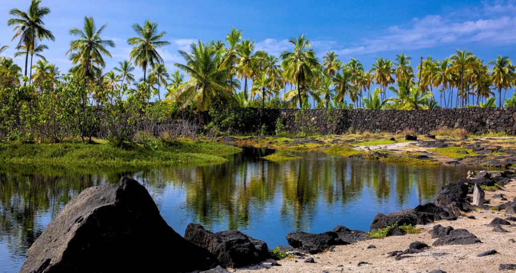 Lush tropical foliage and palm trees amidst black lava rock at Puʻuhonua o Hōnaunau National Historical Park, Big Island, Hawaii.