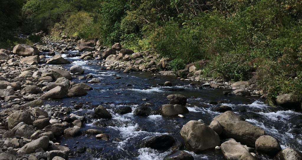 A picture of the natural beauty at Wailuku River State Park, Big Island, Hawaii