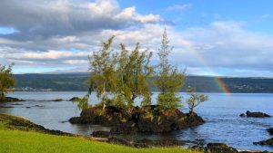 Morning at the Hilo Bayfront Beach Park