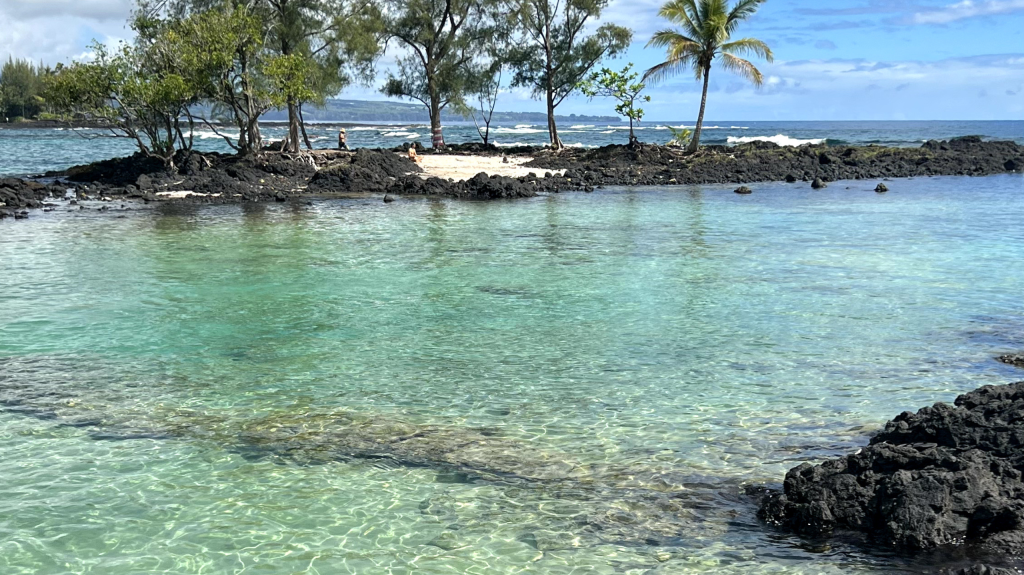 a small rocky island with trees in turquoise waters
