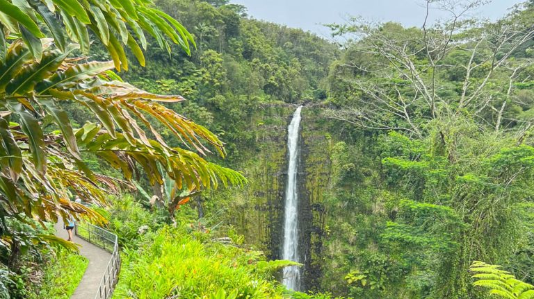 Scenic view of waterfalls with a concrete trail and abundant lush vegetation.