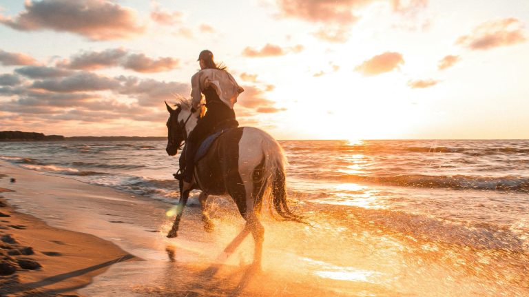 A person riding a horse on a beach at sunset, with calm water and warm glow.