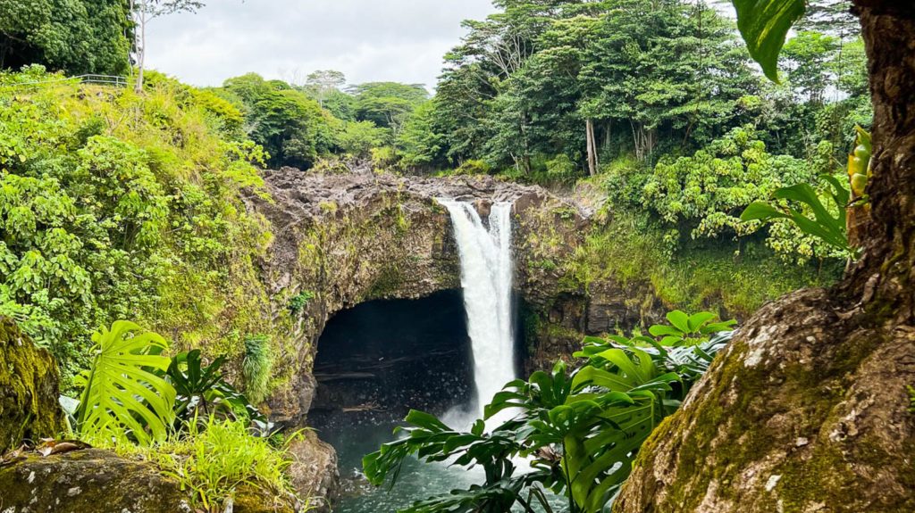 rainbow falls surrounded by lush greenery