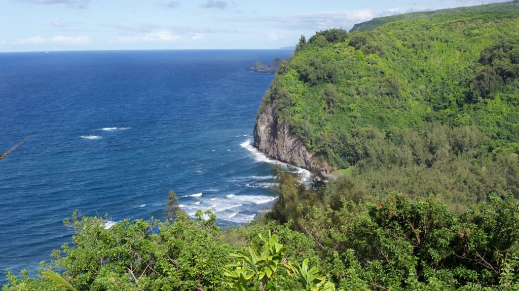 View of Pololu cliffs and the pacific ocean