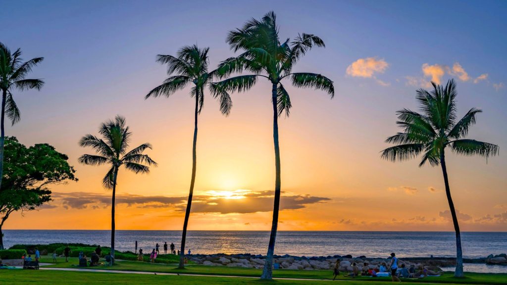 Sunset at the beach with palm trees around